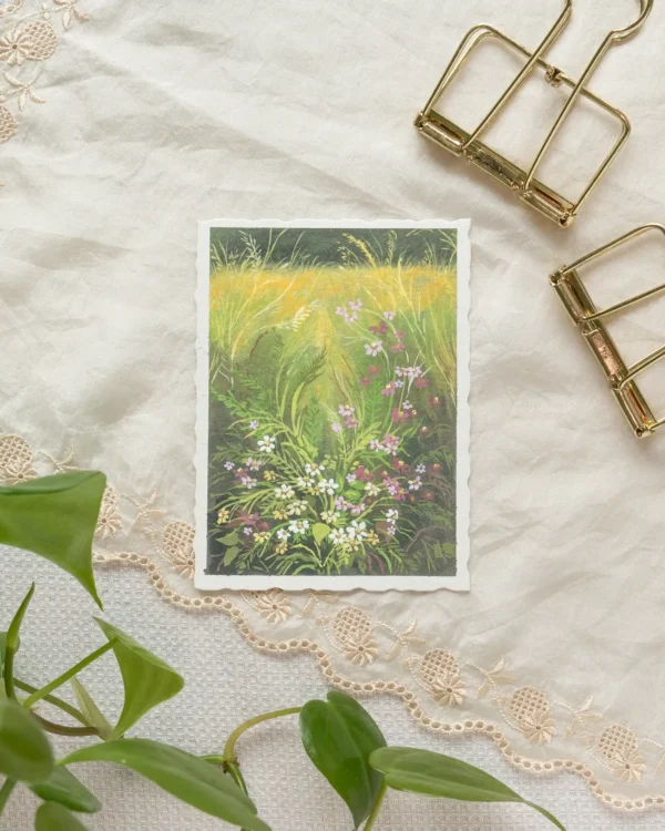 Blushing Field - Image 4