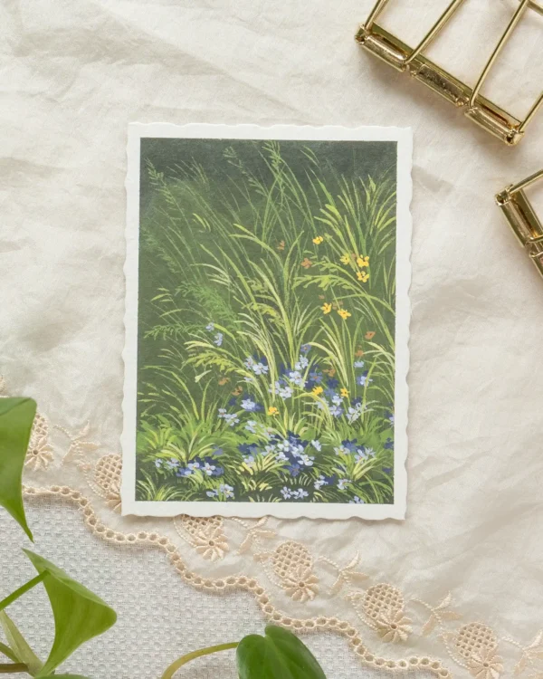 Quiet Thicket