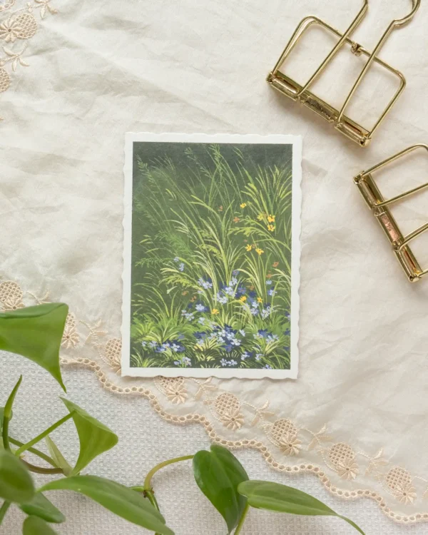 Quiet Thicket - Image 4