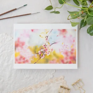 Sakura Petals Limited Edition