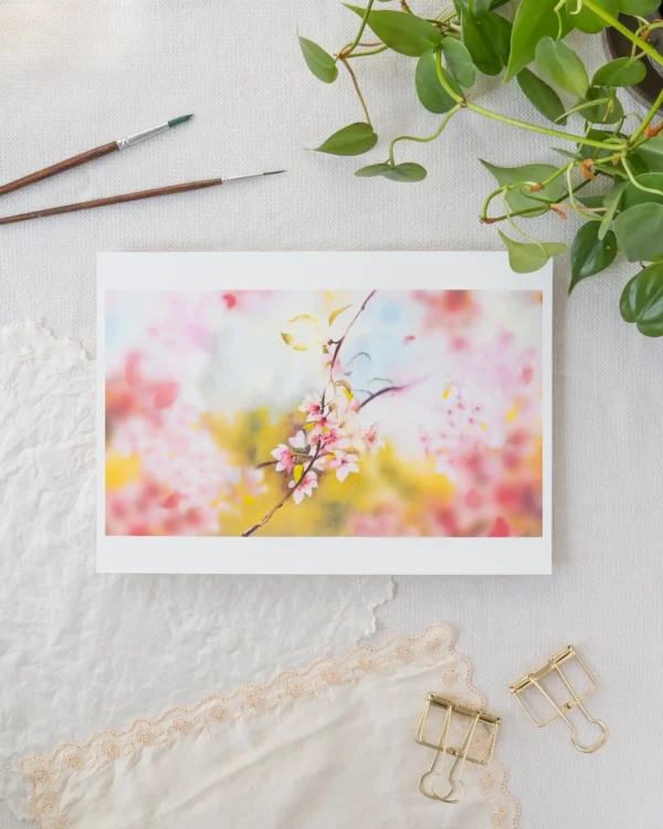 Sakura Petals Limited Edition